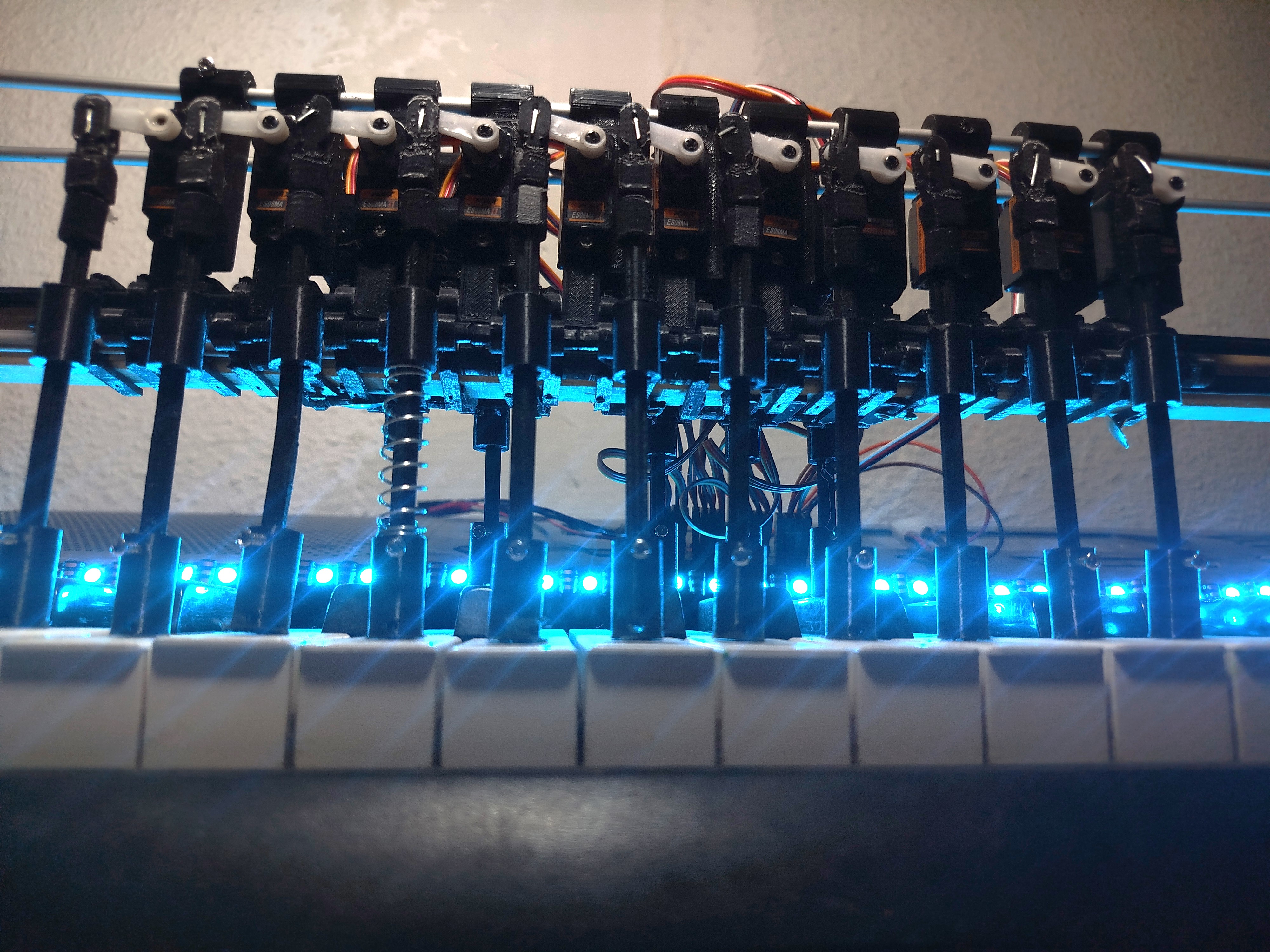 LEDs azules encendidos — vista frontal